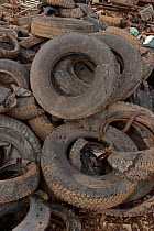 Pile of used tyres, Recycling Center, Ithaca, New York, USA, property released.