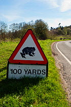 Toad crossing sign warning motorists about migratory toads. Surrey, England, March.