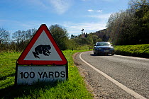 Toad crossing sign warning motorists about migratory toads. Surrey, England, March. Did you know? In captivity a toad can live for up to 50 years.