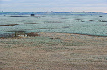 View over frost covered marshes, Elmley Marshes RSPB Reserve, Kent, UK, February 2012