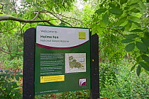 Information board at Holme Fen Nature Reserve, Cambridgeshire Fens, UK, December 2011