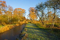 Woodwalton Fen in winter sunshine, Cambridgeshire Fens, UK, December 2011