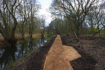 New path to look-out hide over Oremby Little Broad, Trinity Broads, Norfolk, UK, April 2012