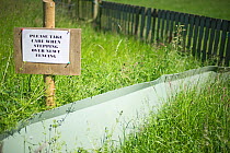 Newt fence and sign erected at lagoon creation area to ensure Great crested Newts don't find their way into work area and get squashed. Rutland Water, summer 2010.