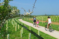 Cycle path and plantings around recently constructed lagoon. Rutland Water, UK, May 2011.