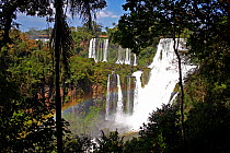 Iguazu waterfalls, Iguacu National Park, Argentina. October 2008.