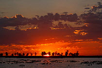 Sunset over Ibera Wetlands Provincial Park, Corrientes Province, Argentina. October 2008.