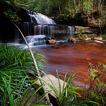 Gulik Falls, edge of southern plateau, Maliau Basin, Sabah's 'Lost World', Borneo (digitally stitched image)