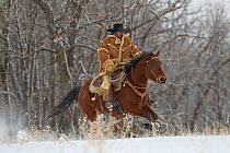 Cowboy galloping through snow, wearing thick sheepskin coat, Wyoming, USA, February 2012, model released