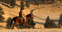 Cowboy riding, wearing thick sheepskin coat, Wyoming, USA, February 2012, model released