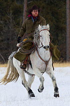 Mounted cowboy riding in snow, Wyoming, USA, model released