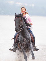 Lusitano horse, woman riding stallion through water, Portugal, May 2011, model released
