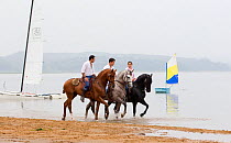 Lusitano horse, men and woman riding stallions beside water, practising dressage steps, Portugal, May 2011, model released
