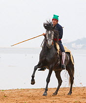 Lusitano horse, man riding stallion beside water, practising dressage steps, Portugal, May 2011, model released