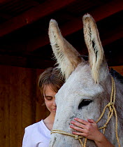 Girl stroking donkey (Equus asinus) New Mexico, USA, September 2011, model released