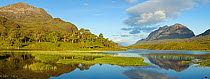 Loch Clair and pinewoods with Liathach beyond. Torridon, North-west Scotland, September 2011.