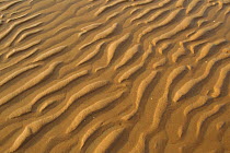 Close-up of ripples on mudflats. Sandyhills Bay, Solway Firth, Dumfries and Galloway, Scotland, UK, February 2012.