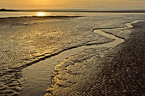 Mudflats at dawn. Sandyhills Bay, Solway Firth, Dumfries and Galloway, Scotland, UK, March 2012.