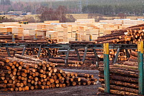 BSW sawmill with Spruce trunks in foreground and sawn and processed timber stacked in background , Boat of Garten, Inverness-shire, Scotland, UK, February 2012.