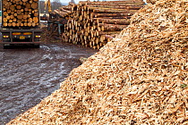 BSW sawmill with pile of wood chippings and tree trunks, Boat of Garten, Inverness-shire, Scotland, UK, February 2012.