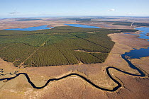 Aerial view across the Flow Country, with timber plantation, Forsinard, Caithness, Scotland, UK, May.