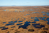 Aerial view across the Flow Country showing peatland pool system, Forsinard, Caithness, Scotland, UK, May.