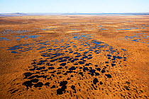 RF- Aerial view across the Flow Country showing peatland pool system. Forsinard, Caithness, Scotland, UK. May. (This image may be licensed either as rights managed or royalty free.)
