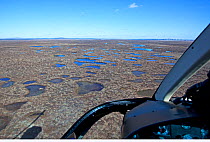 Aerial view from helicopter across the Flow Country showing peatland pool system, Forsinard, Caithness, Scotland, UK, May.