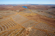 Aerial view of felled forestry plantation planted on blanket bog, Forsinard, Caithness, Scotland, UK, May.