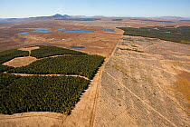 Aerial view of blocks of forestry plantation planted on blanket bog, along with selective felling, Forsinard, Caithness, Scotland, UK, May.