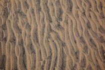 Sand patterns on beach. Harris, Outer Hebrides, Scotland, May 2012.
