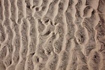 Sand patterns on beach. Harris, Outer Hebrides, Scotland, May 2012.