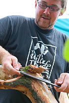 Volunteer working on wood at the Birmingham EcoPark, a Black Country Living Wildlife Trust education centre in Small Heath, West Midlands, July 2011. Model released.