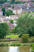 People cycling on towpath near Bumble Hole Nature Reserve, Sandwell, West Midlands, July 2011