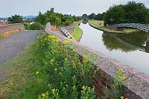Canals and towpaths near Bumble Hole Nature Reserve, Sandwell, West Midlands, July 2011