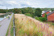 Cycling on towpath near Bumble Hole Nature Reserve, Sandwell, West Midlands, July 2011