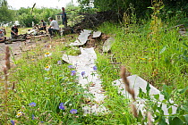 Volunteers working at the Birmingham EcoPark, a Black Country Living Wildlife Trust education centre in Small Heath, West Midlands, July 2011