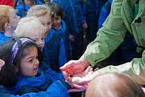 Children from Rowley View Nursery School exploring small creatures in the Moorcroft Environmental Centre Forest School, Moorcroft Wood, Moxley, Walsall, West Midlands, July 2011. Model released.
