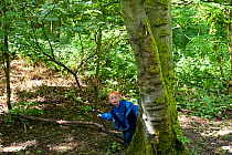 Child from Rowley View Nursery School playing round tree at the Moorcroft Environmental Centre Forest School, Moorcroft Wood, Moxley, Walsall, West Midlands, July 2011. Model released.