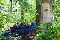 Children from Rowley View Nursery School sitting on tree trunk in woodland at the Moorcroft Environmental Centre Forest School, Moorcroft Wood, Moxley, Walsall, West Midlands, July 2011. Model release...