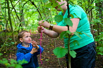 Teacher with child from Rowley View Nursery School in woodland at the Moorcroft Environmental Centre Forest School, Moorcroft Wood, Moxley, Walsall, West Midlands, July 2011. Model released.