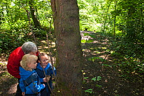 Children from Rowley View Nursery School exploring nature in woodland at the Moorcroft Environmental Centre Forest School, Moorcroft Wood, Moxley, Walsall, West Midlands, July 2011. Model released.