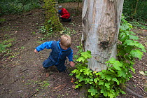 Child from Rowley View Nursery School playing in woodland at the Moorcroft Environmental Centre Forest School, Moorcroft Wood, Moxley, Walsall, West Midlands, July 2011. Model released.