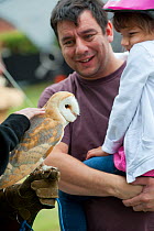 Visitors and environmental experts attend the Black Country Living Wildlife Roadshow, handling a Barn Owl (Tyto alba), Sandwell Park Farm, West Bromwich, West Midlands, August 2011. Model released.