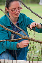 Woman winding wool round wood at the Black Country Living Wildlife Roadshow, Sandwell Park Farm, West Bromwich, West Midlands, August 2011. Model released.