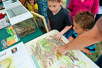 Children looking at reptile idenitfication chart at the Black Country Living Wildlife Roadshow, Sandwell Park Farm, West Bromwich, West Midlands, August 2011. Model released.