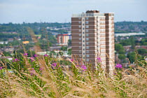 Views from the Rowley Hills across greenspace to highrise building and  Dudley, Sandwell and Birmingham, West Midlands, August 2011