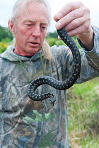 Local resident Roy Peters holding a male Adder (Vipera berus), Caesar's Camp, Fleet, Hampshire, England, UK, May 2011. Model released.
