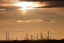 West Canvey Marsh, with industrial buildings on in the distance on horizon, Essex, England, UK, November