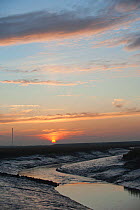 Landscape view of saltmarshes from West Canvey Marshes RSPB reserve, with flare stack in the distance, Canvey Island, Essex, England, UK, November.